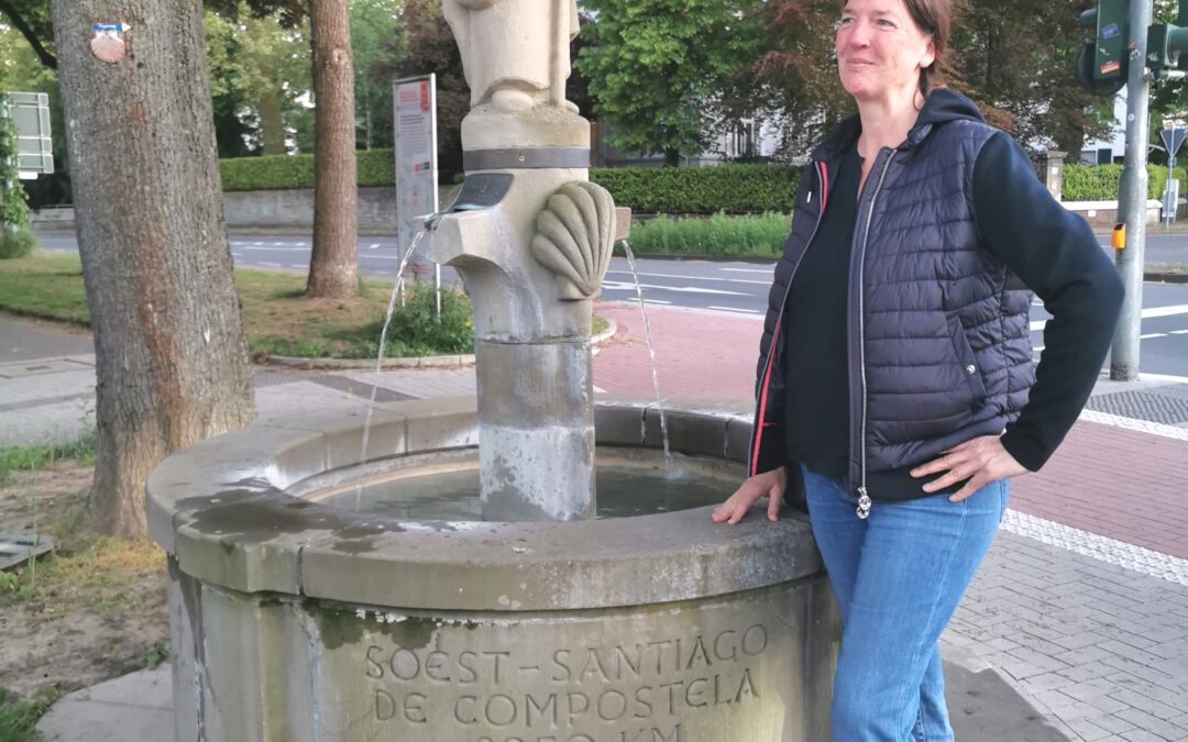 Neues Update für Powerflow® Experten und Trainer